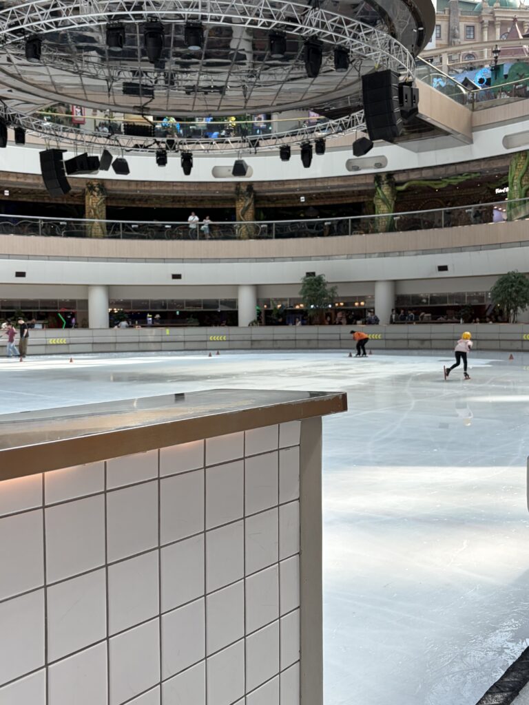 Ice Skating at Lotte World & a Walk Around Seokchon Lake, Seoul